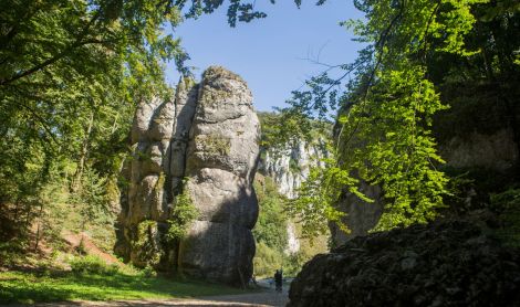 Lenkija. Ojcovo nacionalinis parkas.