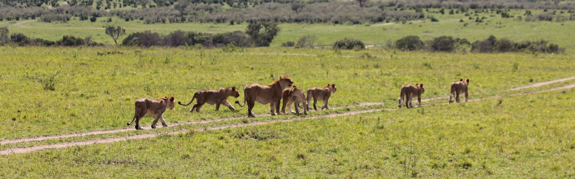 Naudinga informacija apie Masai Mara
