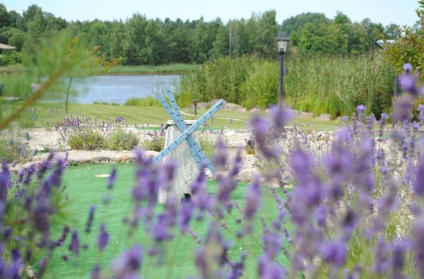 Neries pakrančių gamtos ir kultūros turtai 1d.