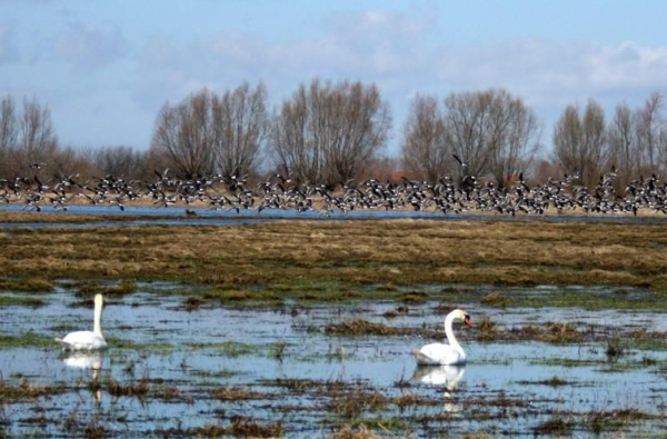 „Lietuviškosios Venecijos“ keliais. Nemuno deltos regioninis parkas 1d.