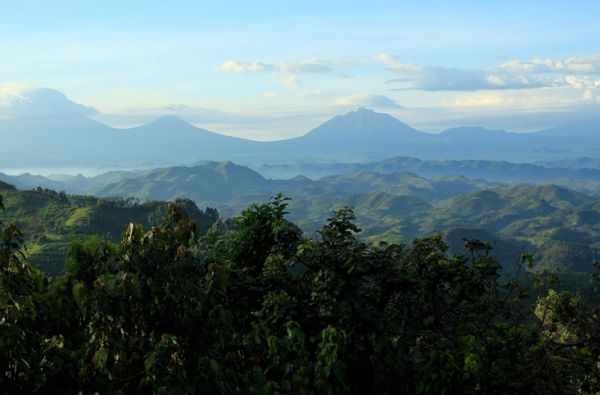 Uganda - Ruanda. Laukinių stebuklų keliais – nuo pasaulio audrų iki primatų sostinės 14d.