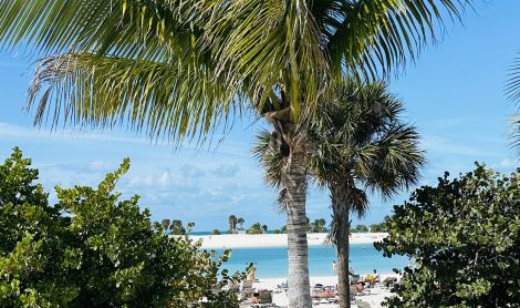Ocean Cay MSC Marine Reserve sala (Bahamai)