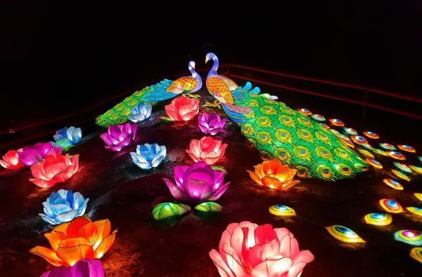 Žibintų festivalis "Stebuklų šalyje" ... čia iliuzijos tampa realybe... (Joniškėlis - Pakruojis) 1d.