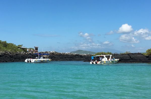 Kolumbija - Ekvadoras. Galapagų salos. Lotynų Amerikos paslaptis 17d.