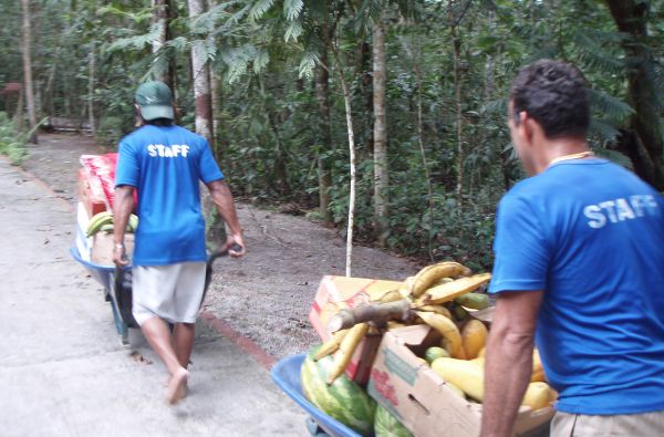 Brazilijos ekspresas – megapolių pulsas ir Eldorado paieškos Amazonės džiunglėse 15d.