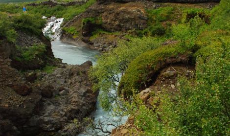 Islandija - ledo ir ugnies žemė, aplankant Grenlandiją 11d. (13d.)