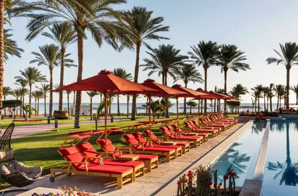 Rixus Premium Seagate