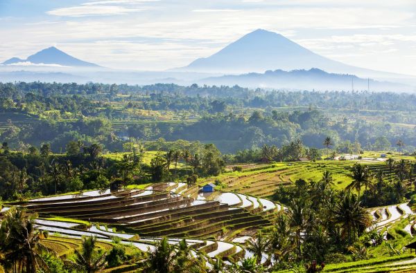 Tropinė Balio sala su poilsiu kurorte prie Indijos vandenyno 13d.
