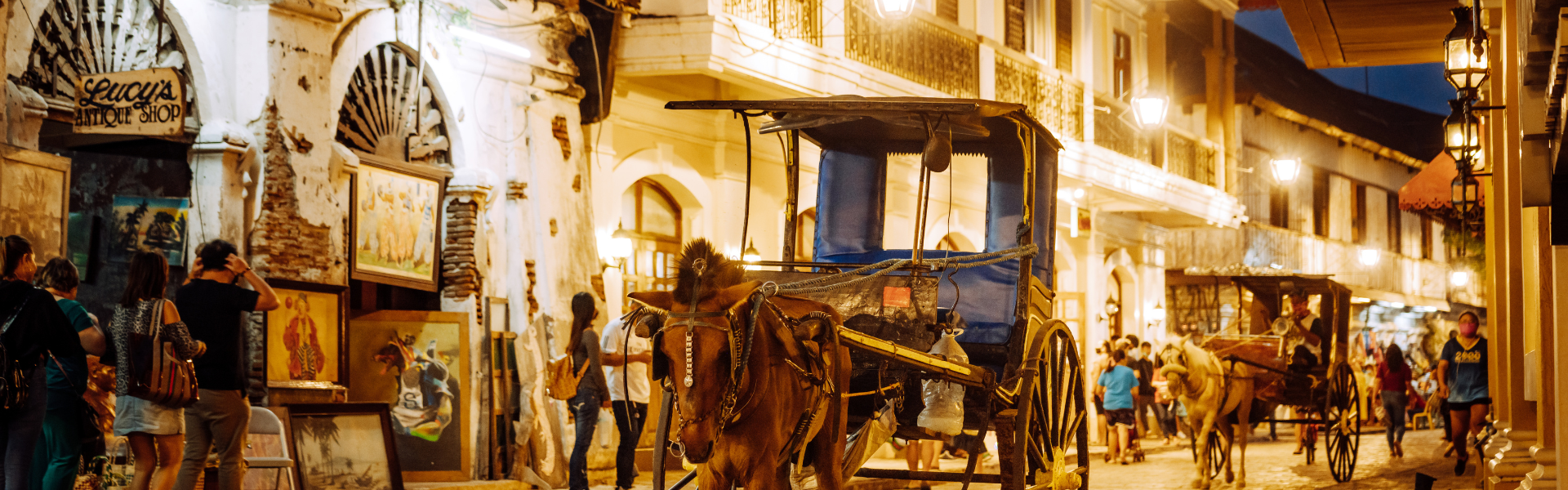 Naudinga informacija apie Viganą