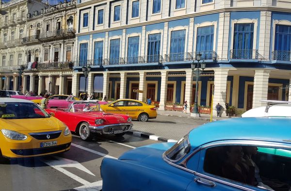 Temperamentingoji Kuba