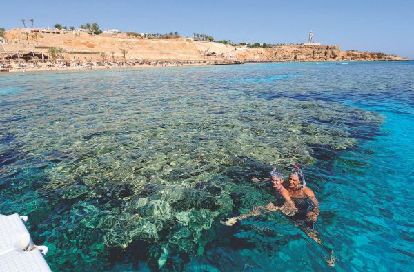 Sentido Reef Oasis Senses