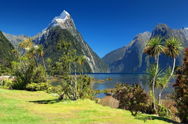 Australija - Naujoji Zelandija 24d.