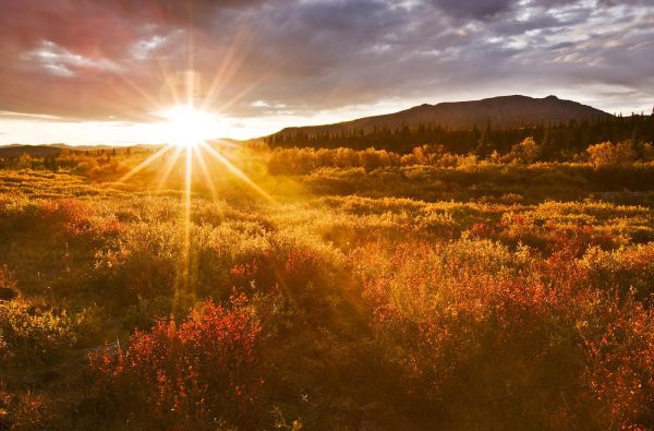 Kanados ir Aliaskos pakrančių kruizas ir turas po Aliaską iki Arkties vandenyno 16d.