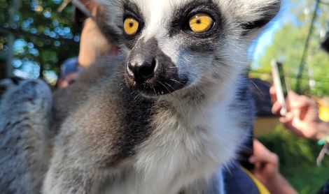 Vokietija. Serengečio parkas.