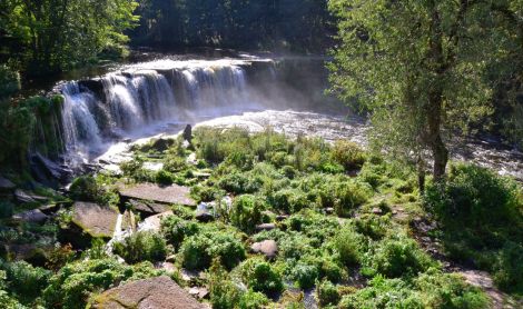 Estija. Jagalos krioklys.
