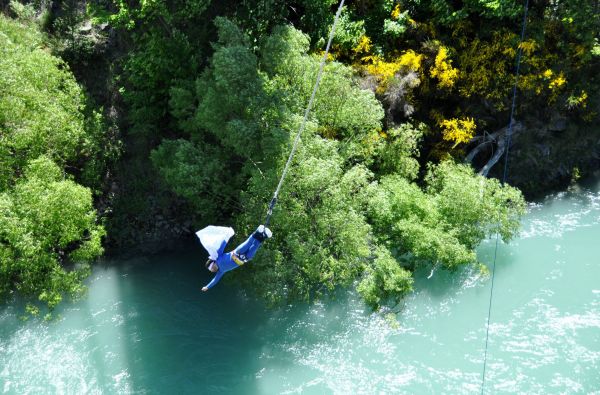 Australija - Naujoji Zelandija 24d.