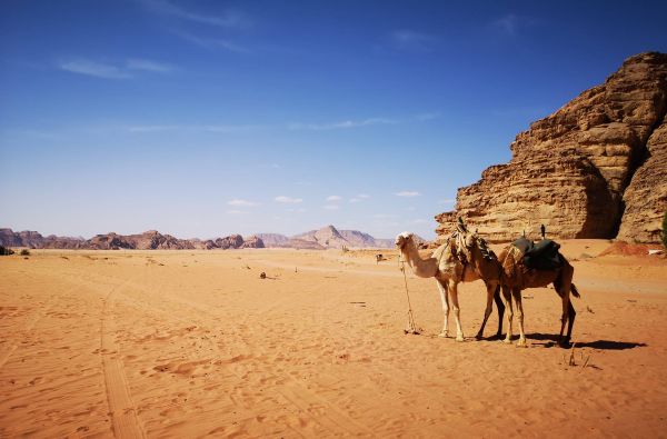 JORDANIJA – dykumų paslaptys, Petros stebuklas su poilsiu prie Raudonosios jūros 12d.