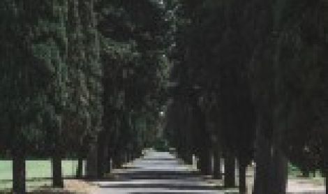 Italija. Apijaus keliu.