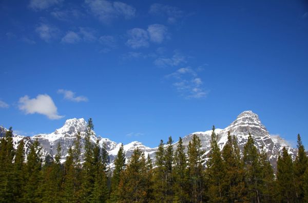Kanada - Aliaska. Kelionės desertui – Kanados ir Aliaskos pakrančių kruizas* 14d. (21d.*)