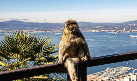 Gibraltaras.