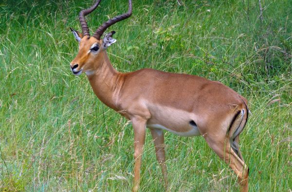 Pietų Afrikos Respublika - Vaivorykštės keliu. Išskirtinis nuotykių turas. Bene išsamiausia pažintinė programa 17d.