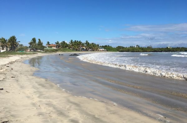 Kolumbija - Ekvadoras. Galapagų salos. Lotynų Amerikos paslaptis 17d.