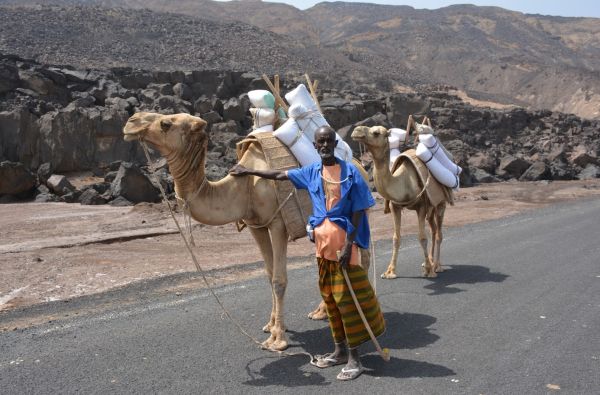 Sudanas - Džibutis. Poilsis ir pramogos prie Indijos vandenyno 15d.