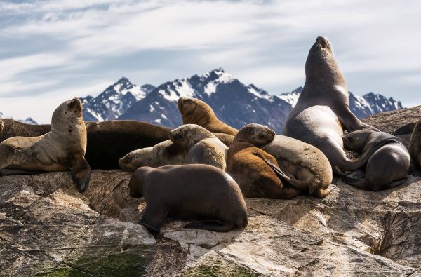 Čilė - Bolivija - Argentina, aplankant Ugnies Žemę. Kelionės pratęsimas Velykų saloje 18d. (23d.)