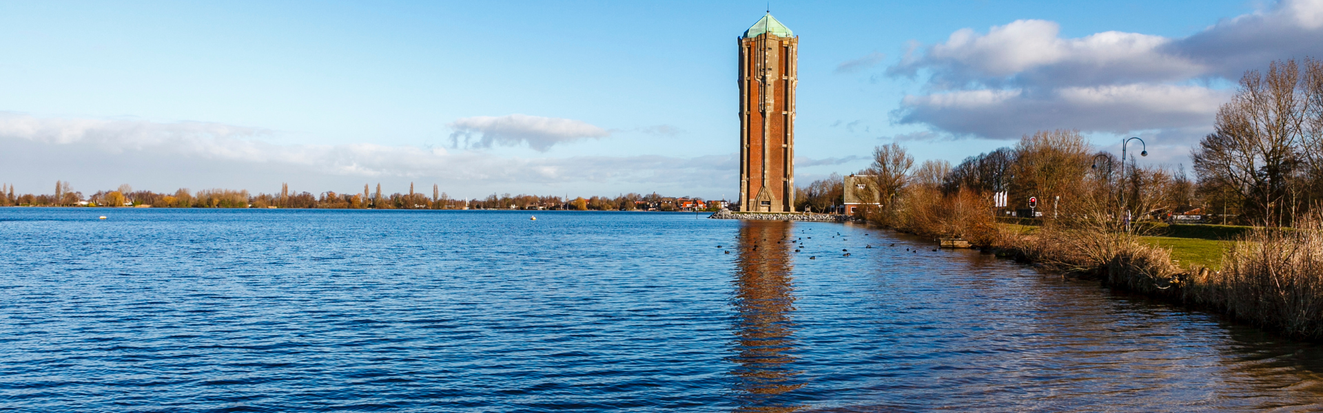 Naudinga informacija apie Alsmerį