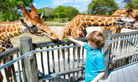 Vokietija. Serengečio parkas.