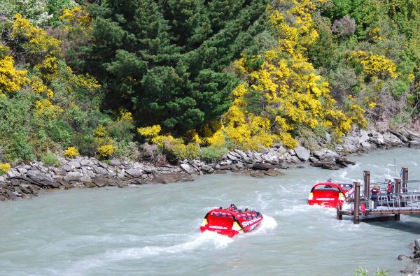 Australija - Naujoji Zelandija 24d.