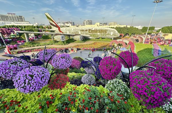 Persijos kruizasPersijos kruizas