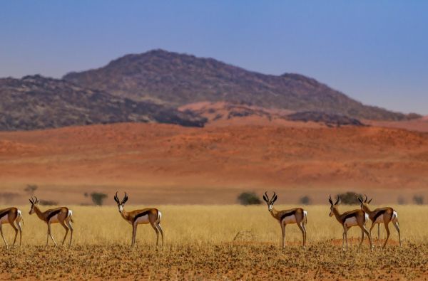 ANGOLA – už turistinių maršrutų ribų: peizažai, gentys ir Atlantas 15d.