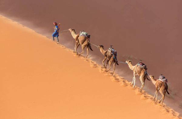 Auksinis Marokas – vartai į juodąją Afriką 14d.