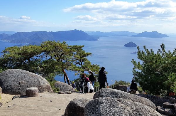 Japonija - sakuros žiedas