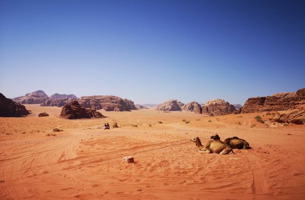 JORDANIJA - spalvos, istorija ir pasaulio stebuklai su poilsiu prie Raudonosios jūros 10d.