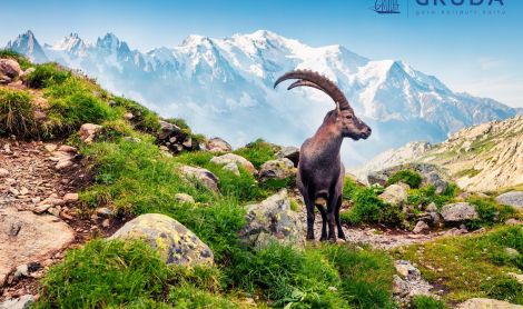 Prancūzija. Šamoni.