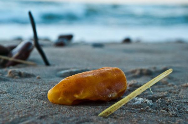 Kretinga - Palanga. Grafų Tiškevičių palikimas 1d.