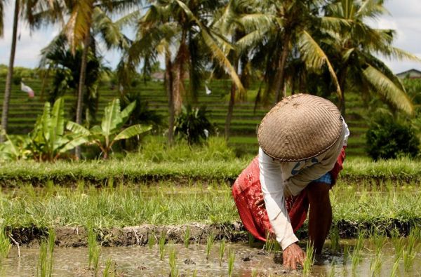 Modernusis Singapūras ir dvasingasis Balis su poilsiu kurorte prie Indijos vandenyno 14d.