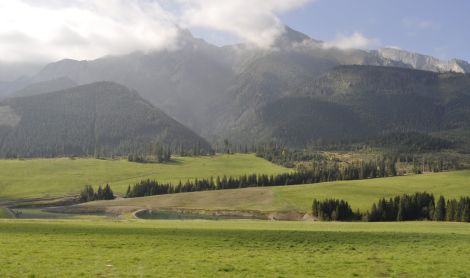 Slovakija. Zakopanė.