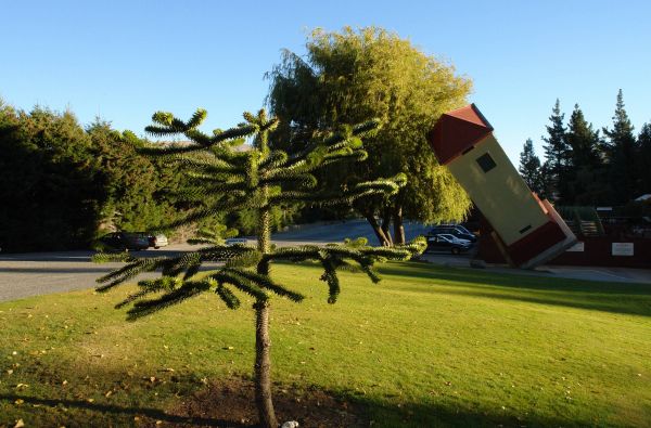 Didysis GRŪDOS turas po Naująją Zelandiją – gražiausią Pasaulio valstybę ir Fidžio salas - rojų žemėje 18d.