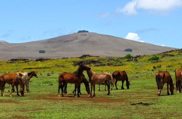 Visa Čilė nuo Atakamos dykumos iki Patagonijos ledynų, aplankant Velykų salą 17d.