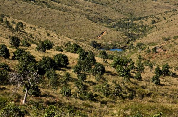 Šri Lanka – Indijos vandenyno perlas, dieviškasis Edeno sodas su poilsiu kurorte prie Indijos vandenyno 13d.