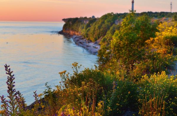 Talinas - Helsinkis - Talinas 3d.