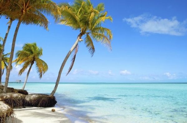 Temperamentingoji Kuba