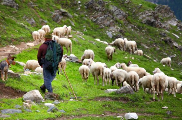 Sakartvelas, Didysis Kaukazas, rūsčioji Svanetija ir Batumis 11d.