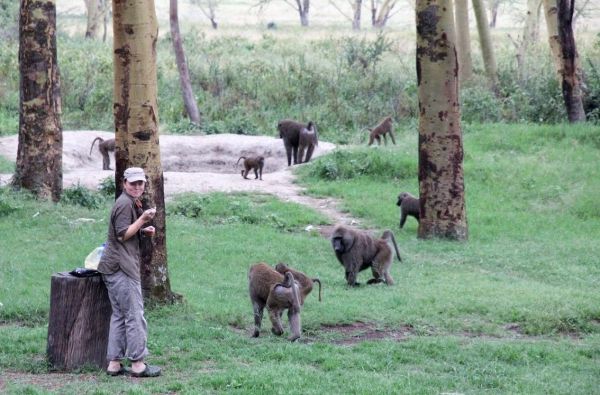 Nuotykių safaris po Rytų Afriką: Kenija - Tanzanija, aplankant garsiausius šių šalių laukinės gamtos nacionalinius parkus ir rezervatus 11d.