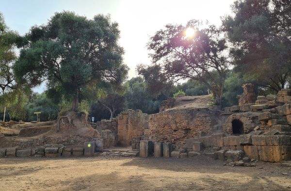 SACHARA su Alžyro prieskoniu 14d.