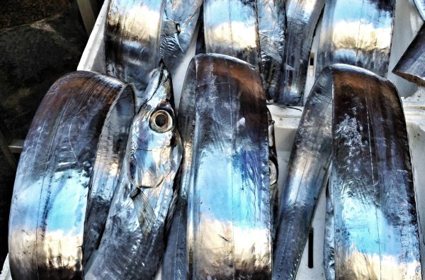 Keliauk į Siciliją! Kelionės kaina už 7 nakvynes ir 3* viešbutį su pusryčiais - tik nuo 447 €!