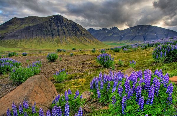 Islandija. Užgesę ugnikalniai, lavos laukai ir elfų sakmės 8d.